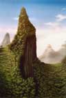 LINK