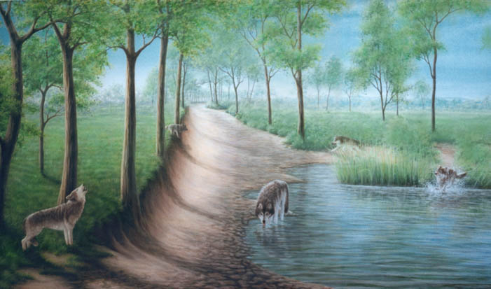BILD -PICTURE
