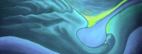 BILD - PICTURE